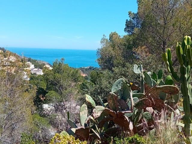 Terreno en venta en la Marina Baixa, Valencia