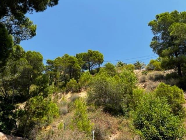 Terreno en venta en la Marina Baixa, Valencia