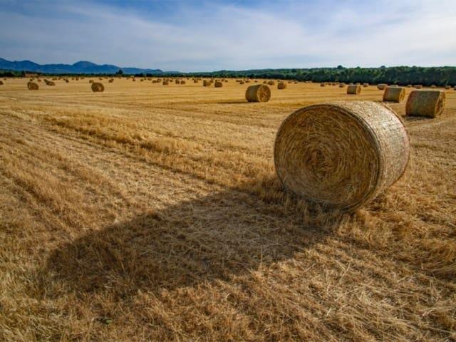 Terreno en venta en Pla de Mallorca, Baleares