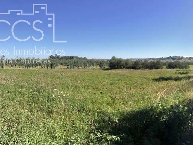 Terreno en venta en Aznalcázar, Andalucía