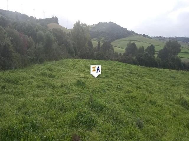 Terreno en venta en Residencial Las Pérgolas, La Janda