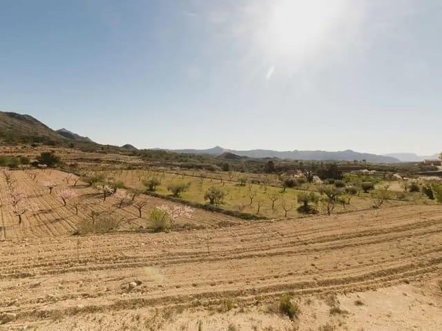Terreno en venta en Barinas, Oriental