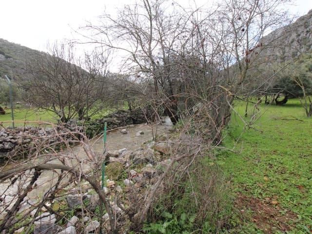 Local Comercial en venta en Serranía de Ronda, Andalucía