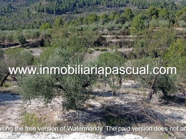Terreno en venta en Benasau