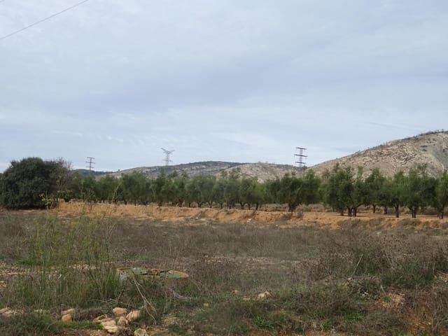 Terreno en venta en l'Alt Vinalopó / El Alto Vinalopó, Valencia