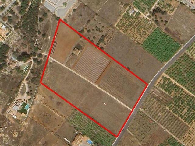 Terreno en venta en Beniarbeig