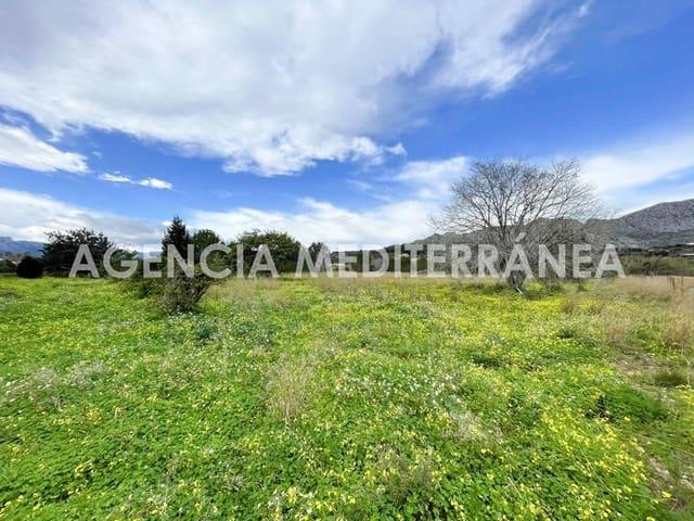 Terreno en venta en Beniarbeig