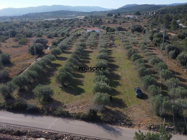 Terreno en venta en el Baix Maestrat, Valencia