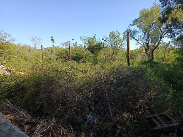 Terreno en venta en Benicarló, Castelló / Castellón