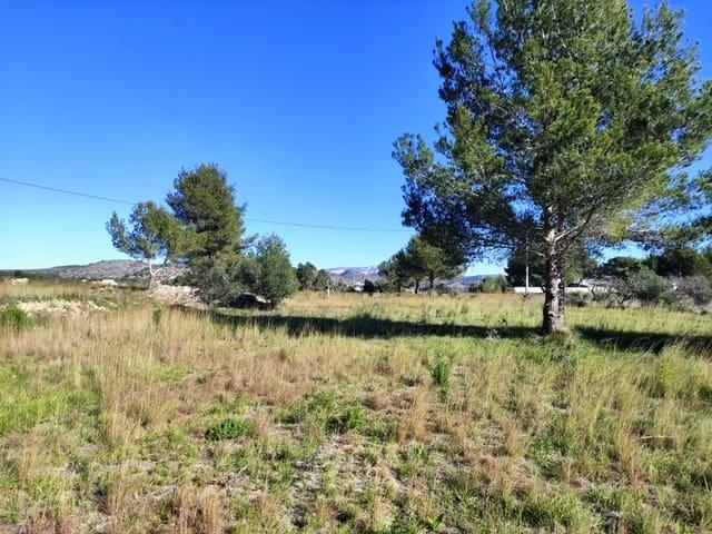 Terreno en venta en la Marina Alta, Valencia