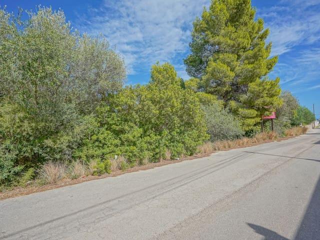 Terreno en venta en la Marina Alta, Valencia