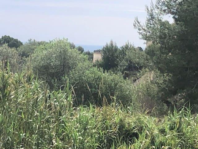 Terreno en venta en la Marina Alta, Valencia