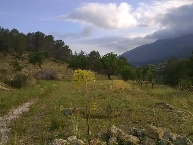 Terreno en venta en la Marina Alta, Valencia
