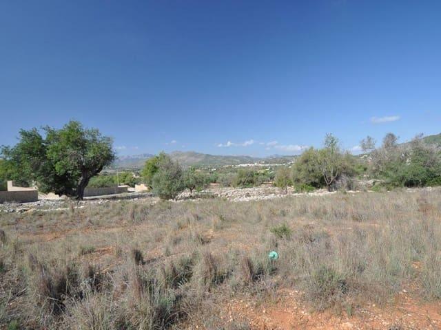 Terreno en venta en la Marina Alta, Valencia