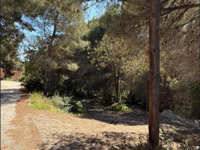 Terreno en venta en la Marina Alta, Valencia