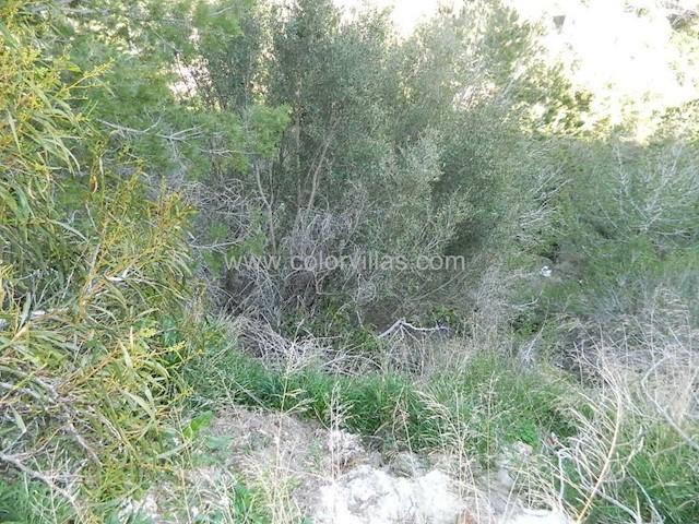 Terreno en venta en la Marina Alta, Valencia