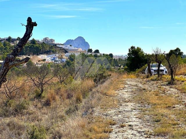 Terreno en venta en la Marina Alta, Valencia