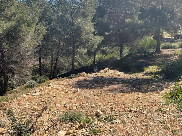 Terreno en venta en la Marina Alta, Valencia