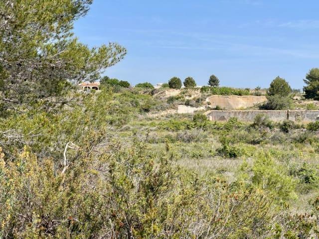 Terreno en venta en la Marina Alta, Valencia