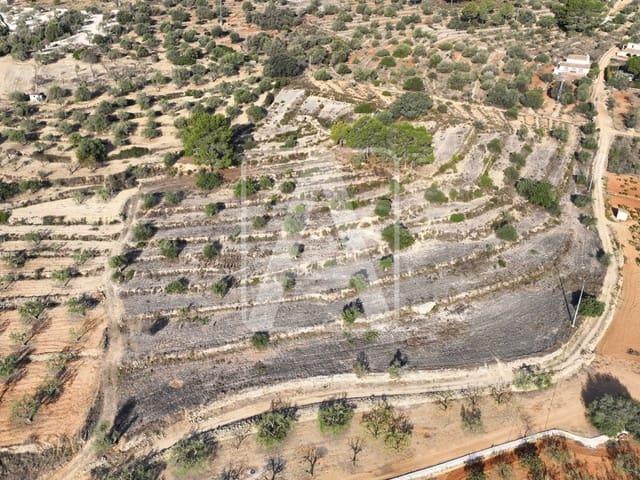 Terreno en venta en la Marina Alta, Valencia