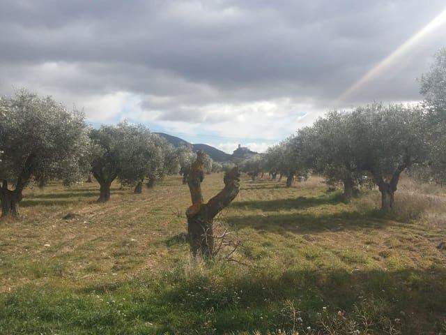 Terreno en venta en l'Alt Vinalopó / El Alto Vinalopó, Valencia