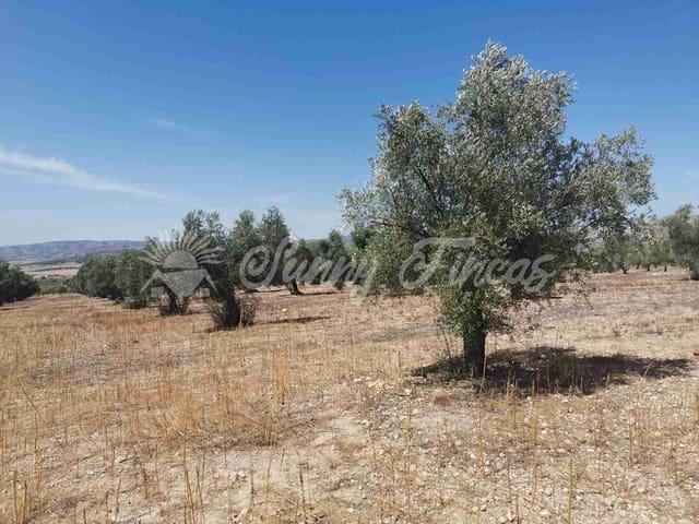 Terreno en venta en Biar