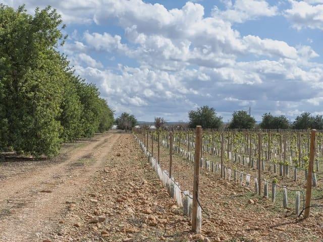 Terreno en venta en Raiguer, Baleares