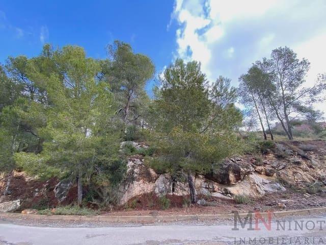 Terreno en venta en el Poble Nou, la Plana Alta