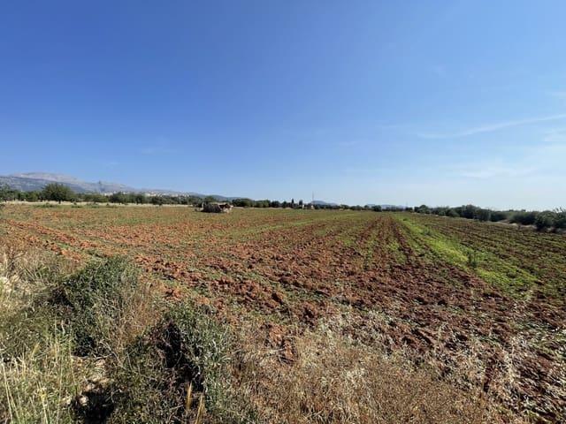 Terreno en venta en Es Pujol, Raiguer