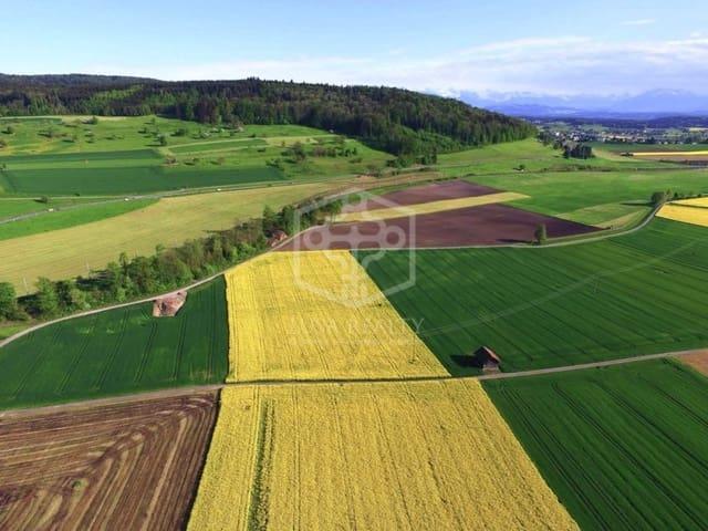 Terreno en venta en Plaza Mayor, Cáceres