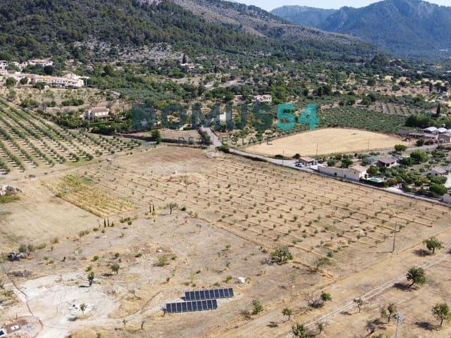 Terreno en venta en Caimari, Raiguer