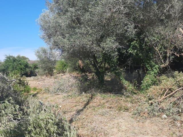 Terreno en venta en Calafell, Baix Penedès