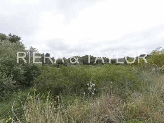 Terreno en venta en Manacor, Llevant