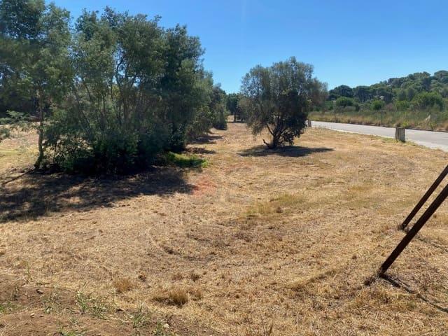 Terreno en venta en Calonge i Sant Antoni, Baix Empordà