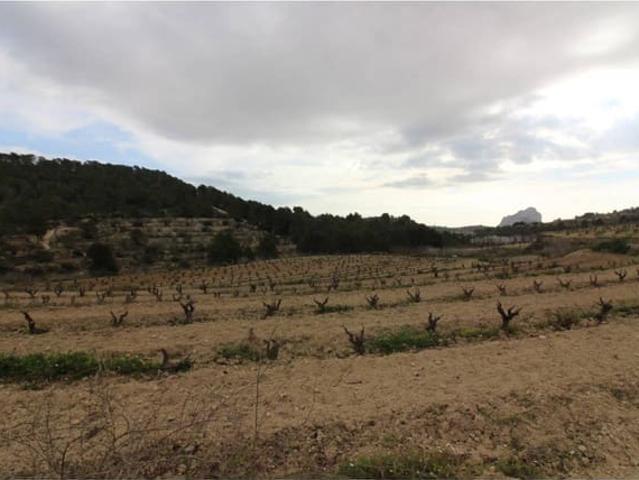 Terreno en venta en San Bernardo, la Marina Alta