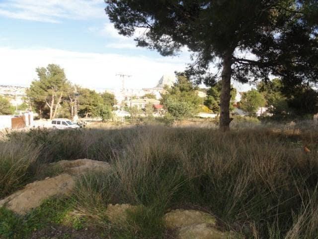 Terreno en venta en San Bernardo, la Marina Alta