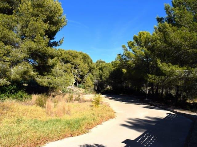 Terreno en venta en San Bernardo, la Marina Alta