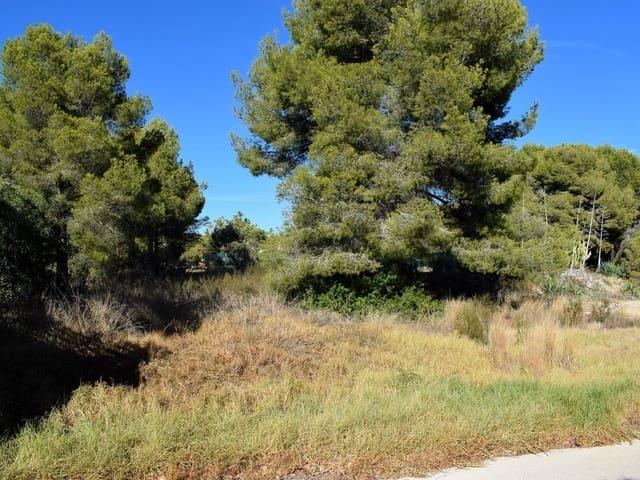 Terreno en venta en San Bernardo, la Marina Alta