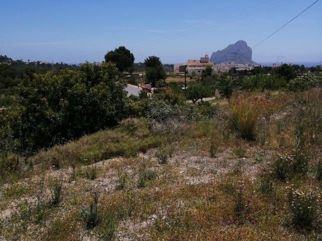 Terreno en venta en San Bernardo, la Marina Alta