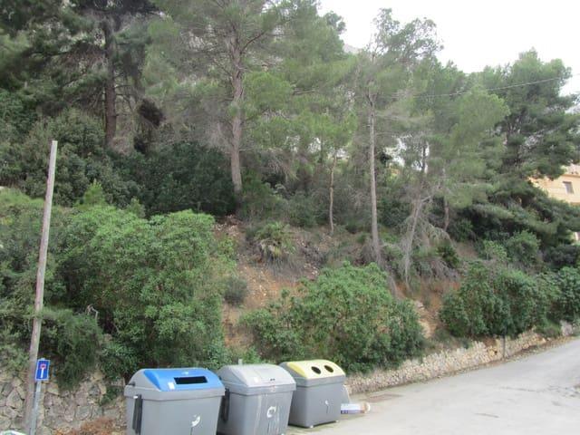 Terreno en venta en San Bernardo, la Marina Alta