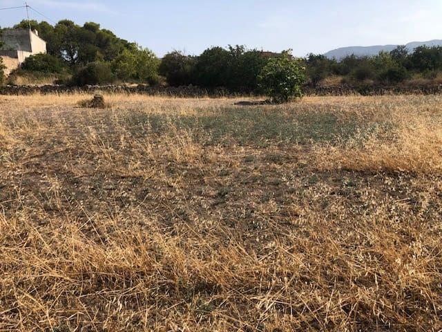 Terreno en venta en San Bernardo, la Marina Alta