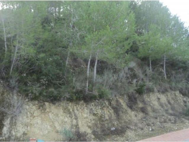 Terreno en venta en San Bernardo, la Marina Alta