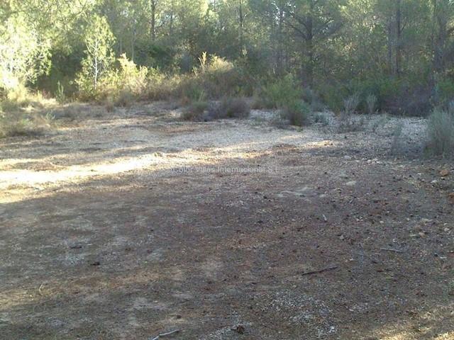Terreno en venta en San Bernardo, la Marina Alta