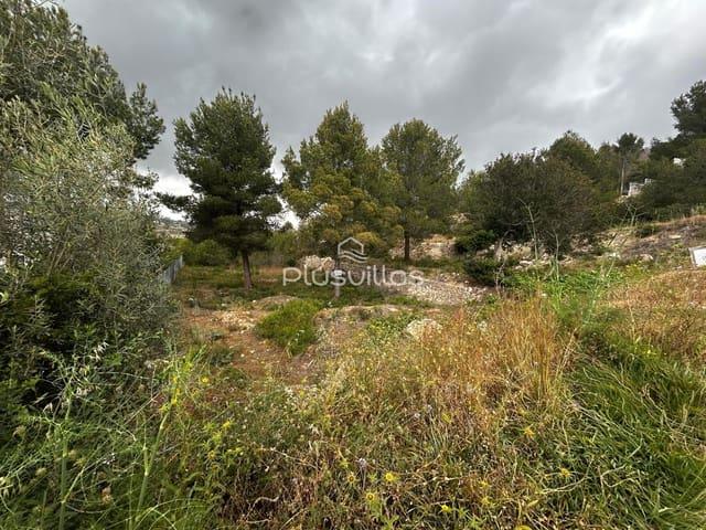 Terreno en venta en San Bernardo, la Marina Alta