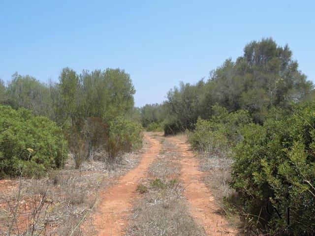 Terreno en venta en Santa Margalida, Pla de Mallorca