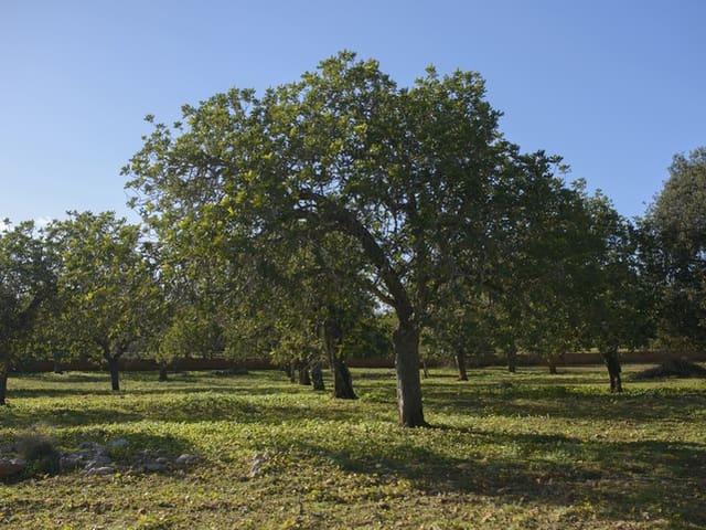 Terreno en venta en Llevant, Baleares