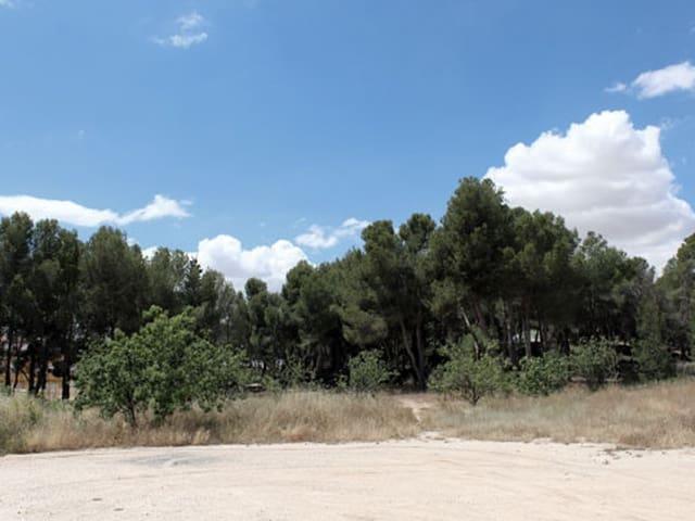Terreno en venta en La Buenavista, Noroeste