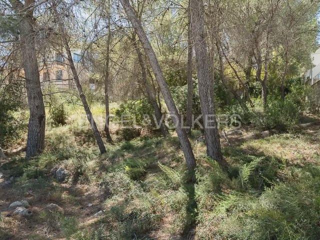 Terreno en venta en la Ribera Alta, Valencia