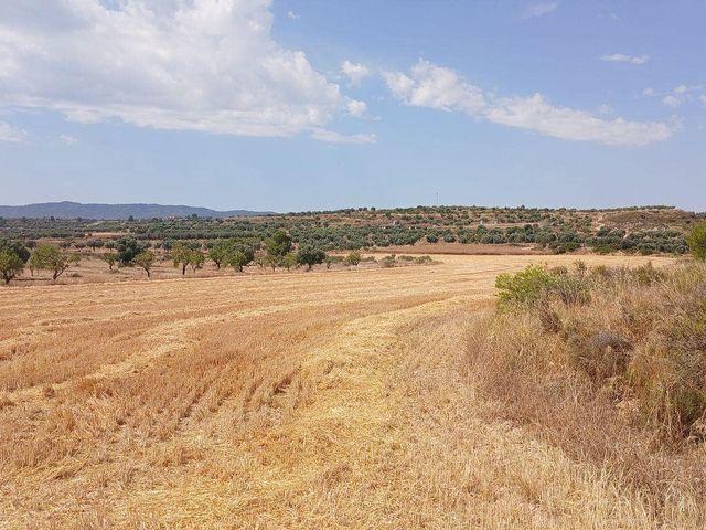Terreno en venta en Castelserás, Teruel