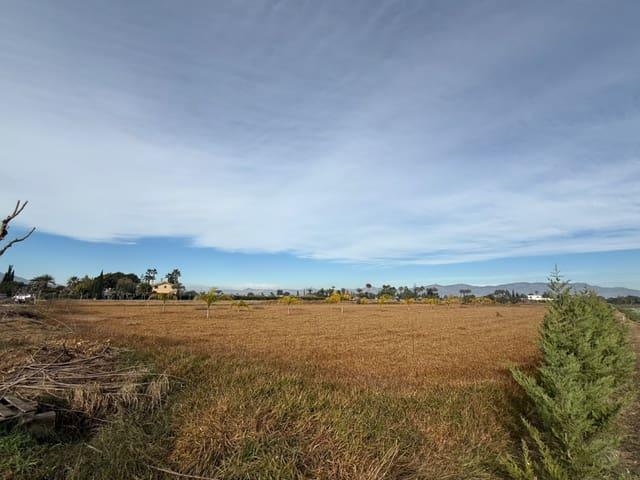 Terreno en venta en el Baix Segura / La Vega Baja, Valencia